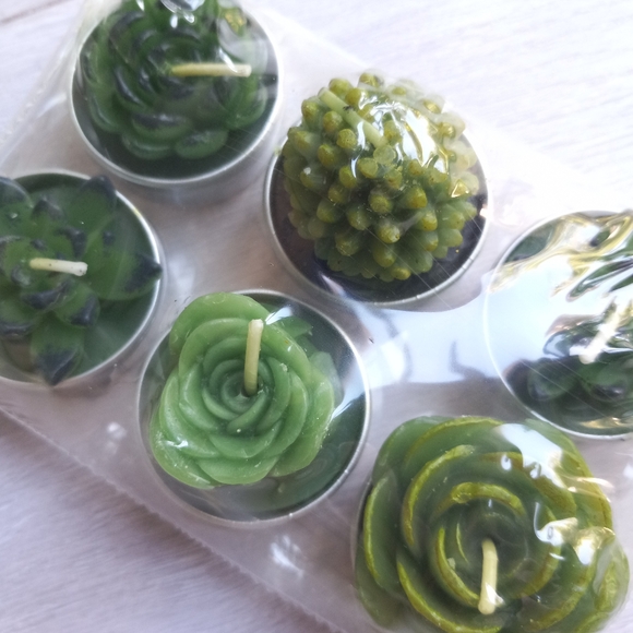 Scented Succulent Cactus Tealight Candles, 6pk NIP - Picture 3 of 13
